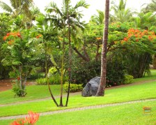 Uno dei giardini dell'Outrigger on the Lagoon - Sigatoka - Coral Coast - Fiji