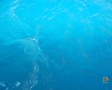 Il mare delle Yasawa