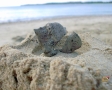 Piccola roccia vulcanica a Natadola beach