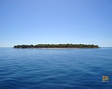 treasure Island