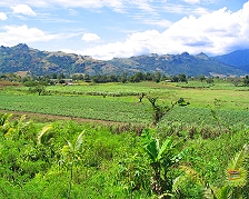 Guardando le montagne intorno a Nadi