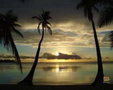 Tramonto da Musket Cove Resort