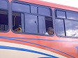 Bambio sull Autobus