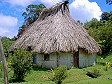Bure Fijano
