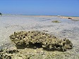 Anteprima - Clicca per ingrandire