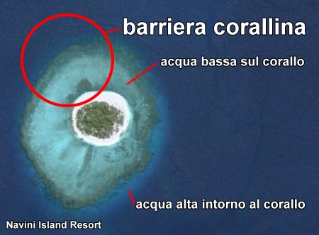 Navini Island... dove fare snorkeling